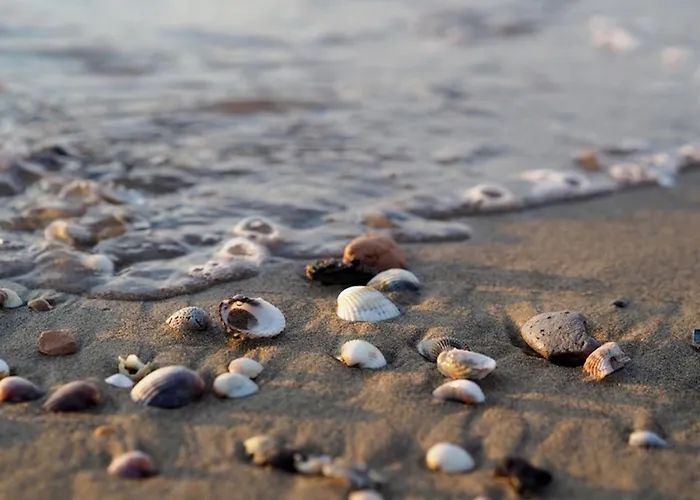 Recharge In Our Relaxing Flat - Beahost Apartment